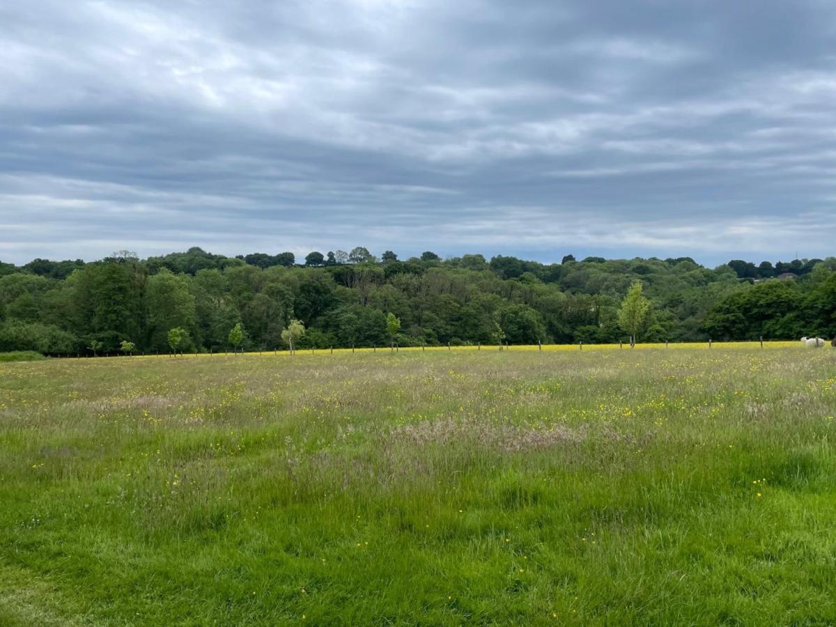 Отель Meadow View Mayfield  Экстерьер фото
